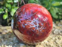 Polished Carnelian Agate Spheres x 3 From Madagascar