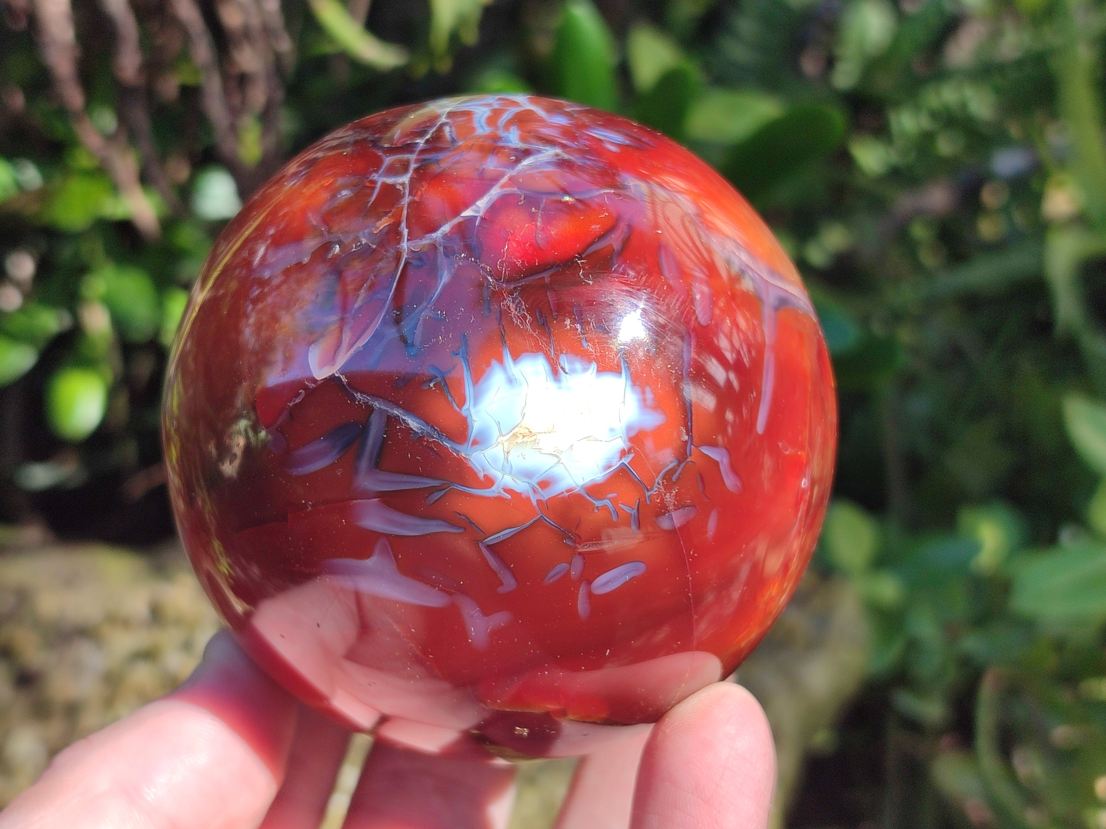 Polished Carnelian Agate Spheres x 3 From Madagascar - Toprock Gemstones and Minerals 
