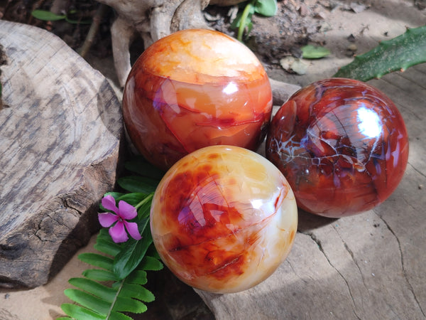 Polished Carnelian Agate Spheres x 3 From Madagascar