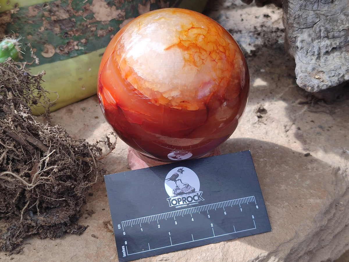 Polished Carnelian Agate Spheres x 3 From Madagascar - Toprock Gemstones and Minerals 