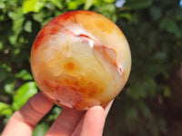 Polished Carnelian Agate Spheres x 3 From Madagascar
