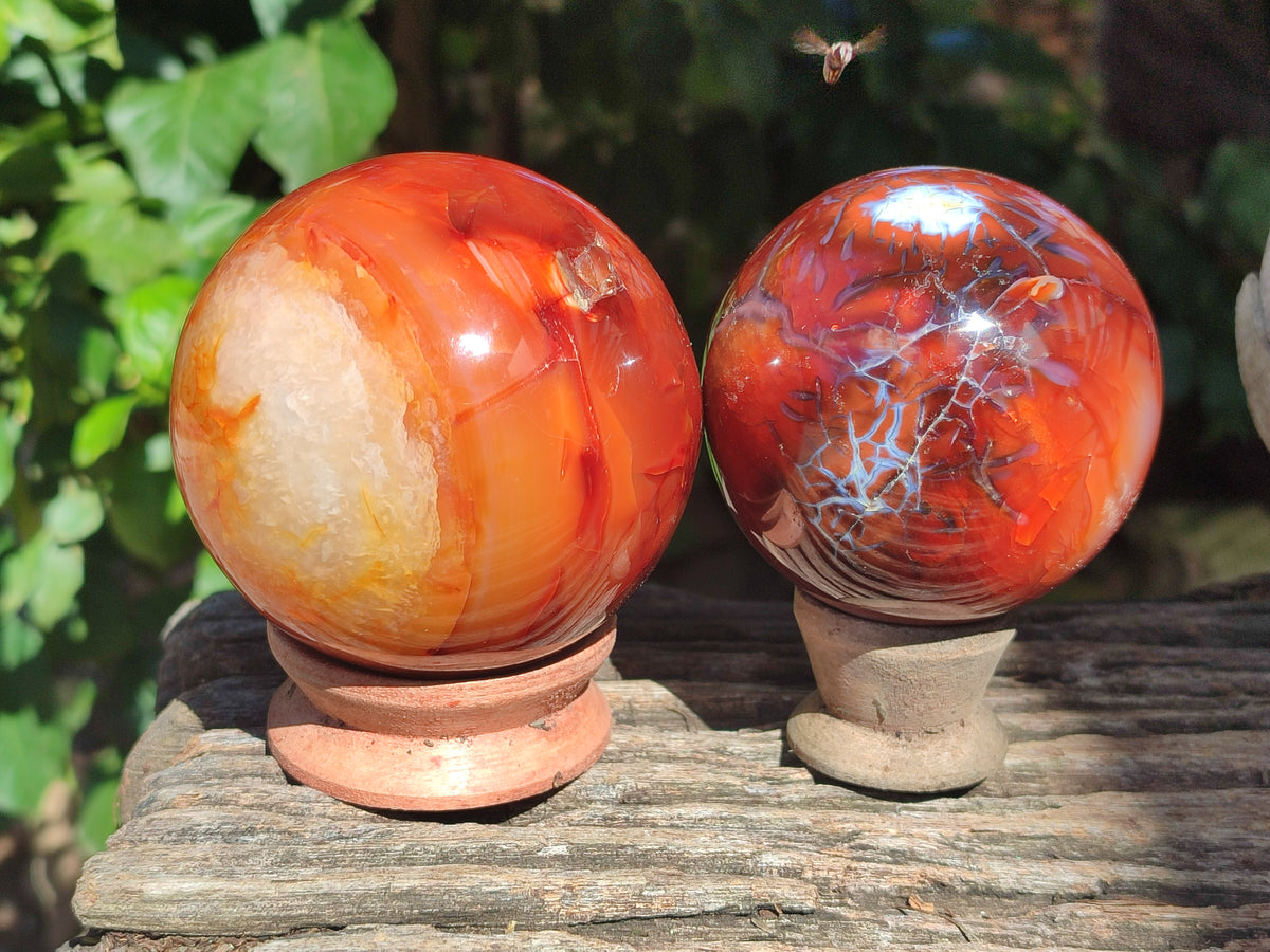 Polished Carnelian Agate Spheres x 3 From Madagascar - Toprock Gemstones and Minerals 