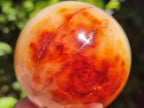 Polished Carnelian Agate Spheres x 3 From Madagascar - Toprock Gemstones and Minerals 