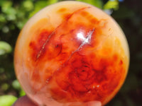 Polished Carnelian Agate Spheres x 3 From Madagascar