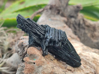 Natural Schorl Black Tourmaline with Hyalite Opal Specimens x 32 From Erongo, Namibia