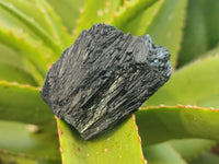 Natural Schorl Black Tourmaline with Hyalite Opal Specimens x 32 From Erongo, Namibia