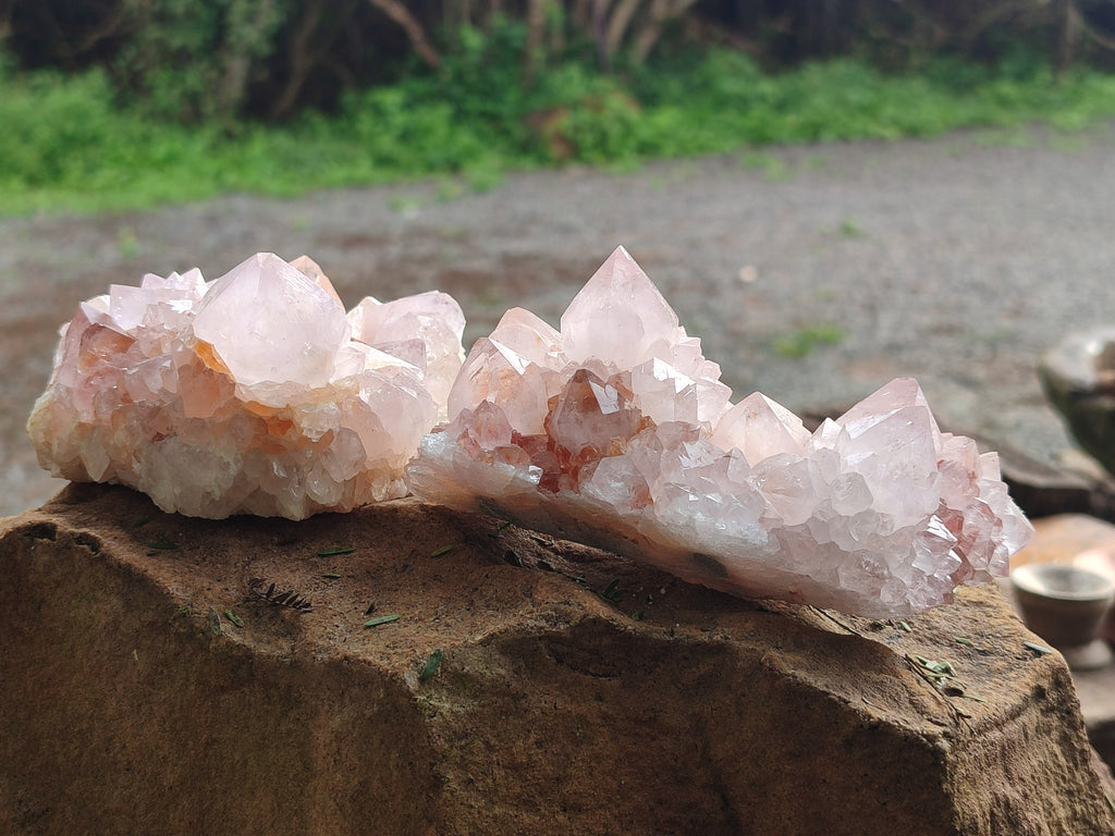Natural Cactus Spirit Amethyst Clusters x 4 From Boekenhouthoek, South Africa - Toprock Gemstones and Minerals 