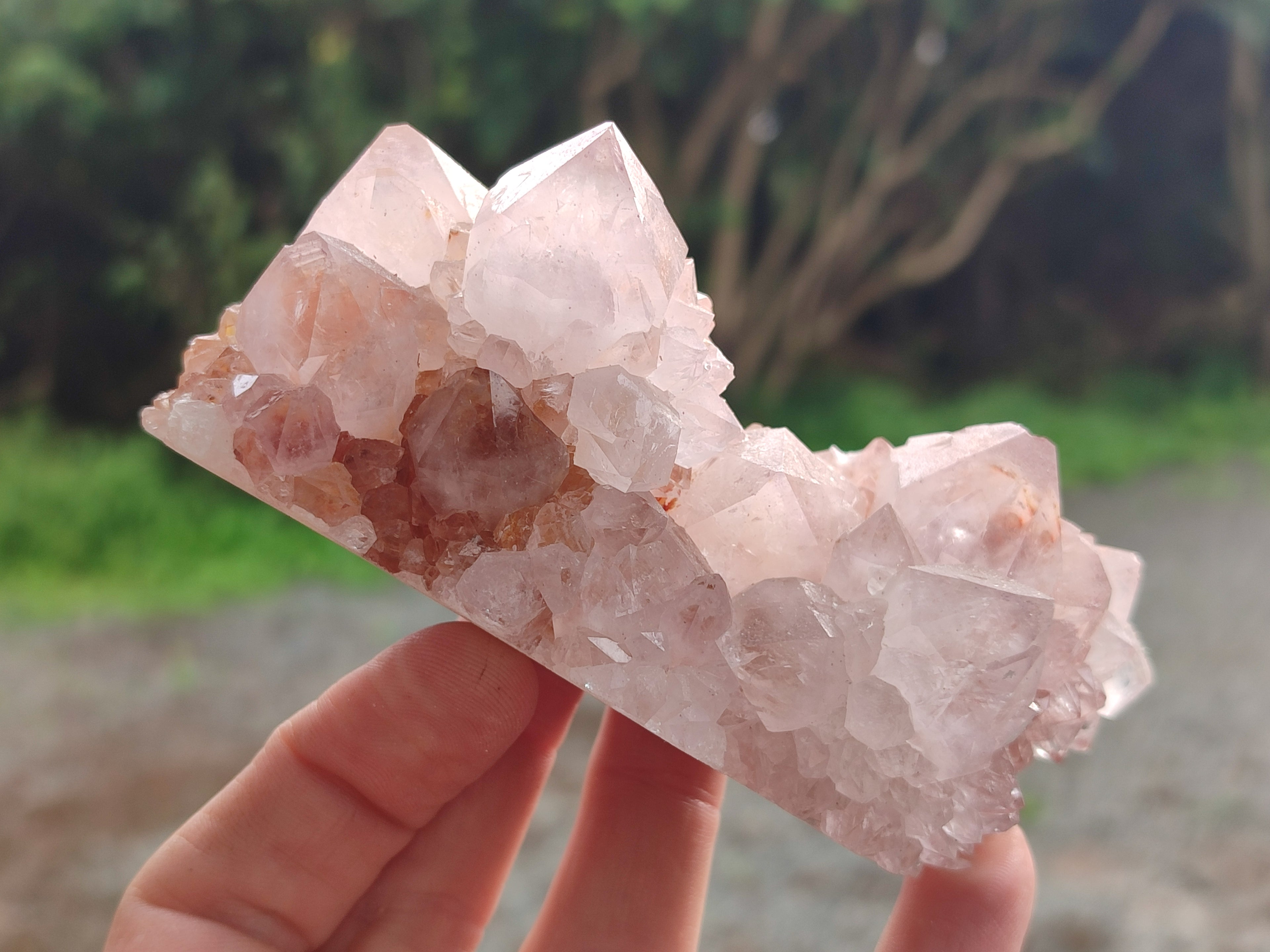 Natural Cactus Spirit Amethyst Clusters x 4 From Boekenhouthoek, South Africa - Toprock Gemstones and Minerals 