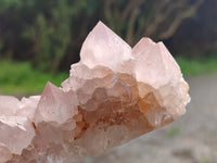 Natural Cactus Spirit Amethyst Clusters x 4 From Boekenhouthoek, South Africa