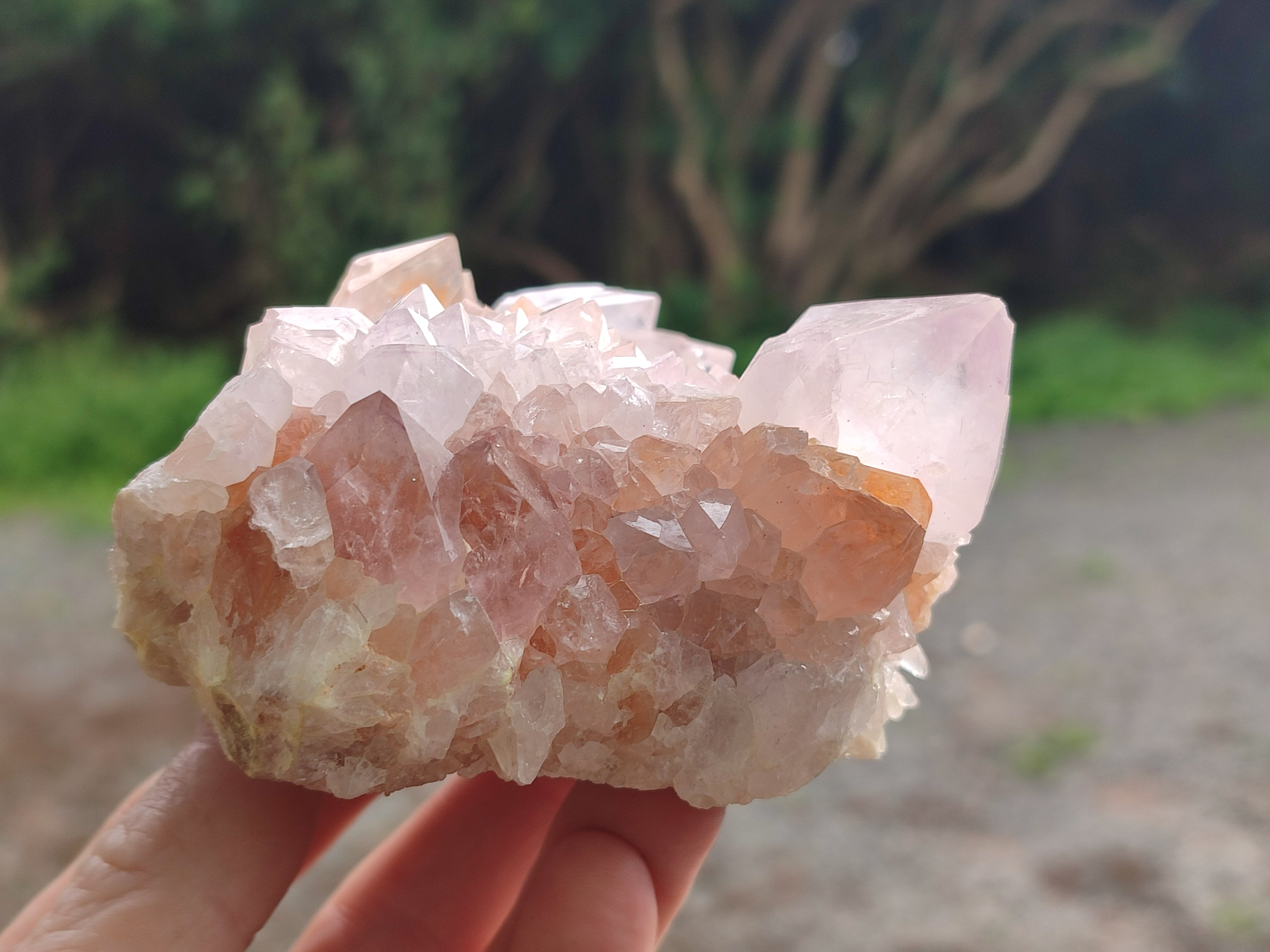 Natural Cactus Spirit Amethyst Clusters x 4 From Boekenhouthoek, South Africa - Toprock Gemstones and Minerals 