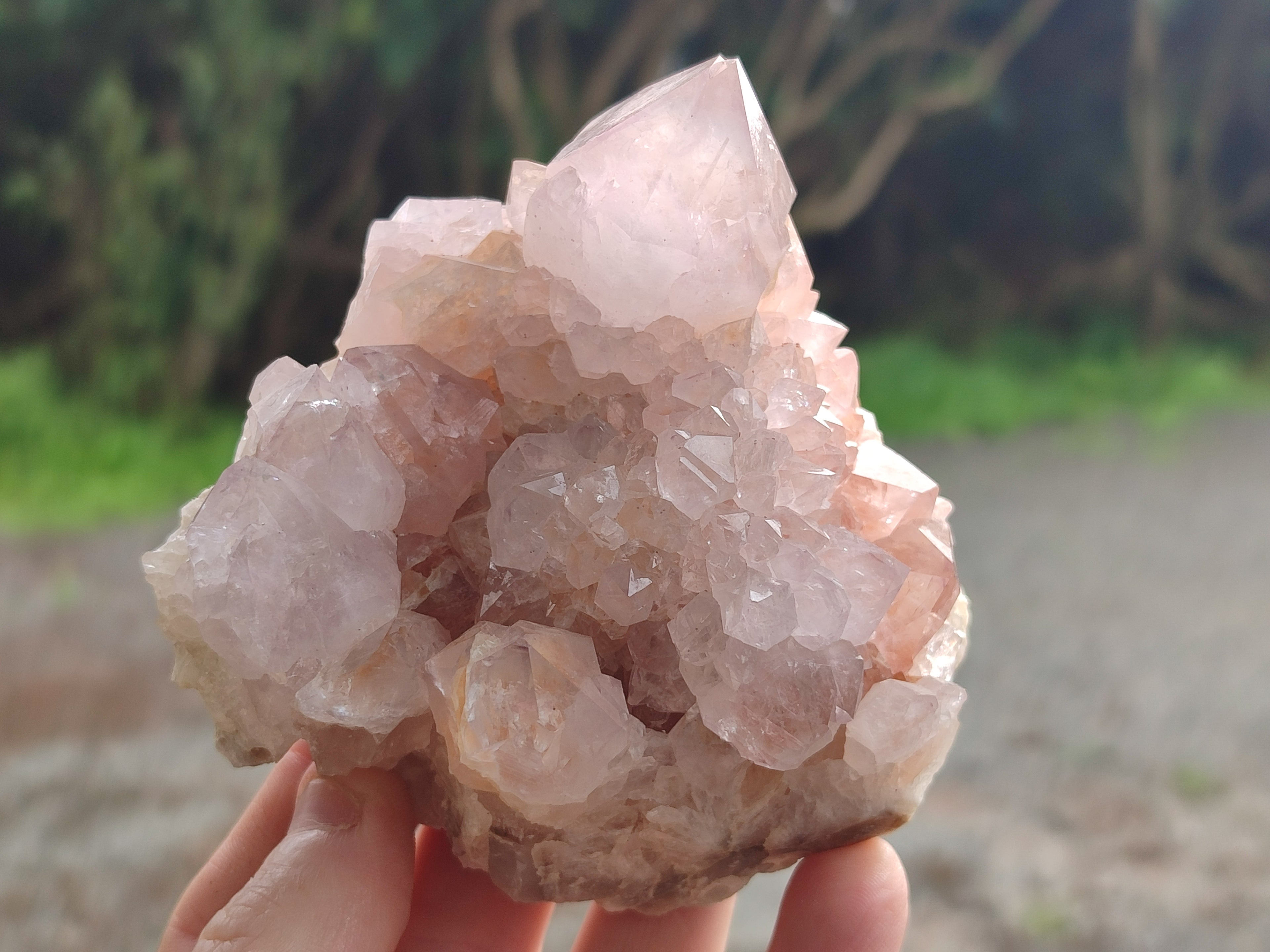Natural Cactus Spirit Amethyst Clusters x 4 From Boekenhouthoek, South Africa - Toprock Gemstones and Minerals 