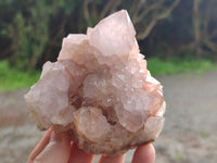 Natural Cactus Spirit Amethyst Clusters x 4 From Boekenhouthoek, South Africa