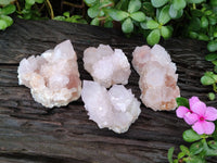 Natural Cactus Spirit Amethyst Clusters x 4 From Boekenhouthoek, South Africa