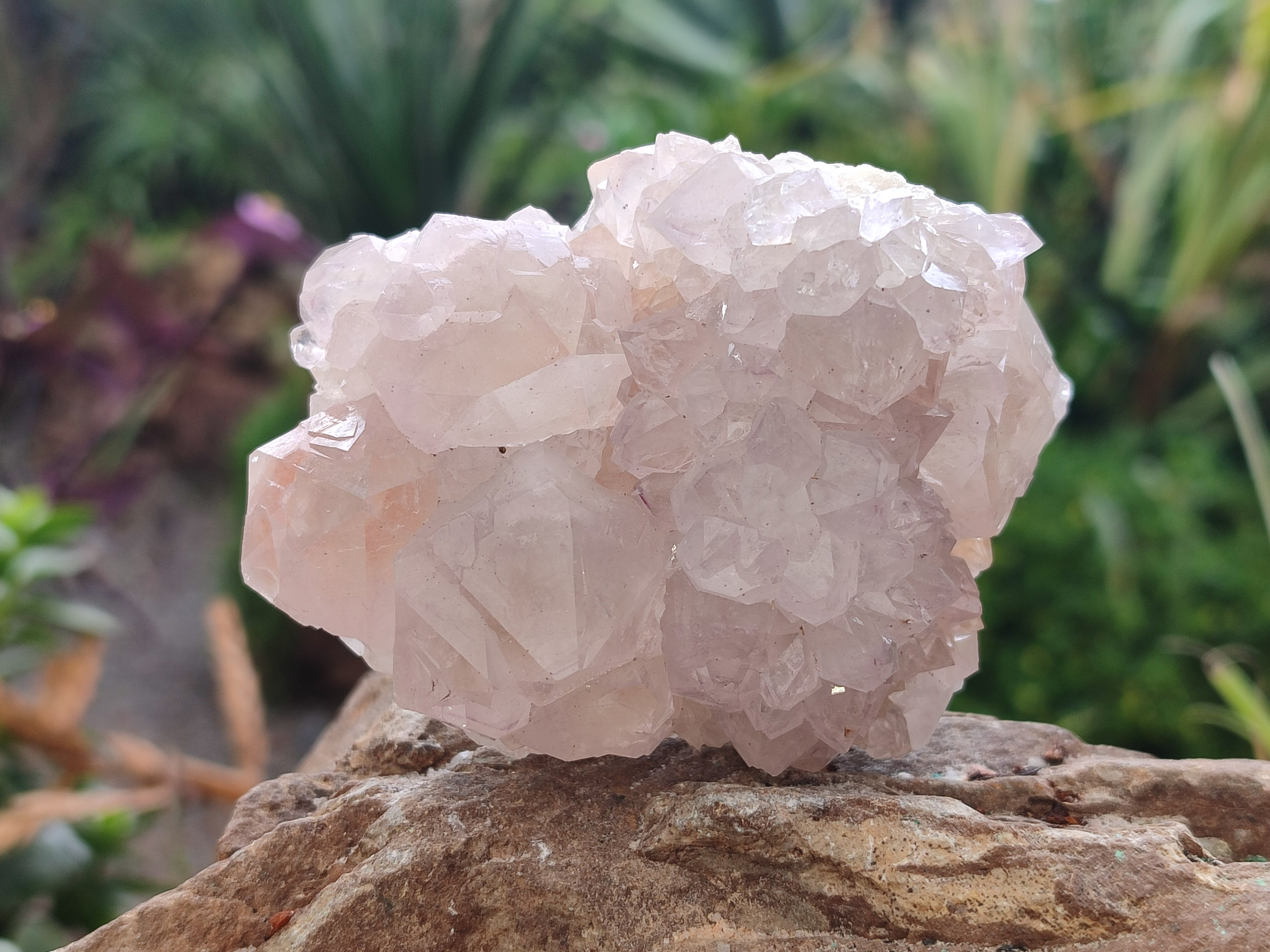 Natural Cactus Spirit Amethyst Clusters x 4 From Boekenhouthoek, South Africa - Toprock Gemstones and Minerals 
