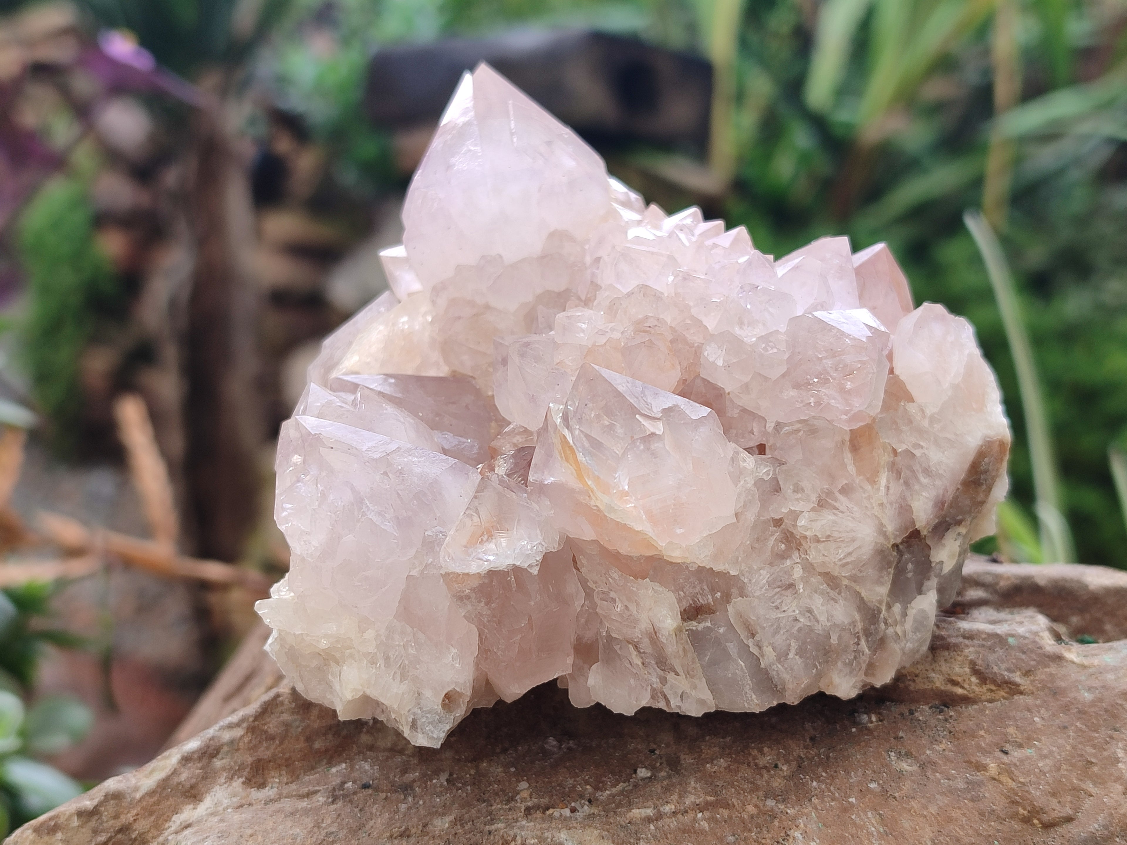 Natural Cactus Spirit Amethyst Clusters x 4 From Boekenhouthoek, South Africa - Toprock Gemstones and Minerals 