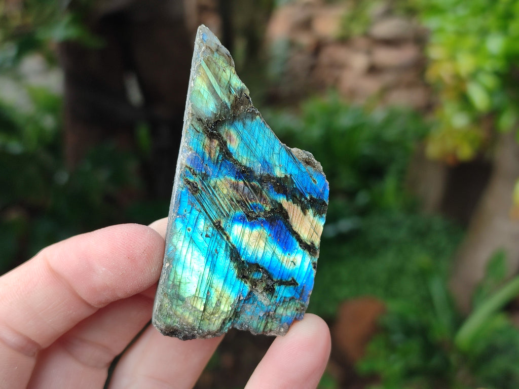 Polished on One Side Mini Labradorite Slabs x 35 From Tulear, Madagascar - Toprock Gemstones and Minerals 