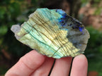 Polished on One Side Mini Labradorite Slabs x 35 From Tulear, Madagascar - Toprock Gemstones and Minerals 