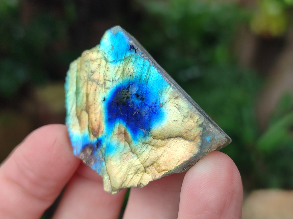 Polished on One Side Mini Labradorite Slabs x 35 From Tulear, Madagascar - Toprock Gemstones and Minerals 