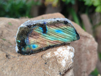 Polished on One Side Mini Labradorite Slabs x 35 From Tulear, Madagascar