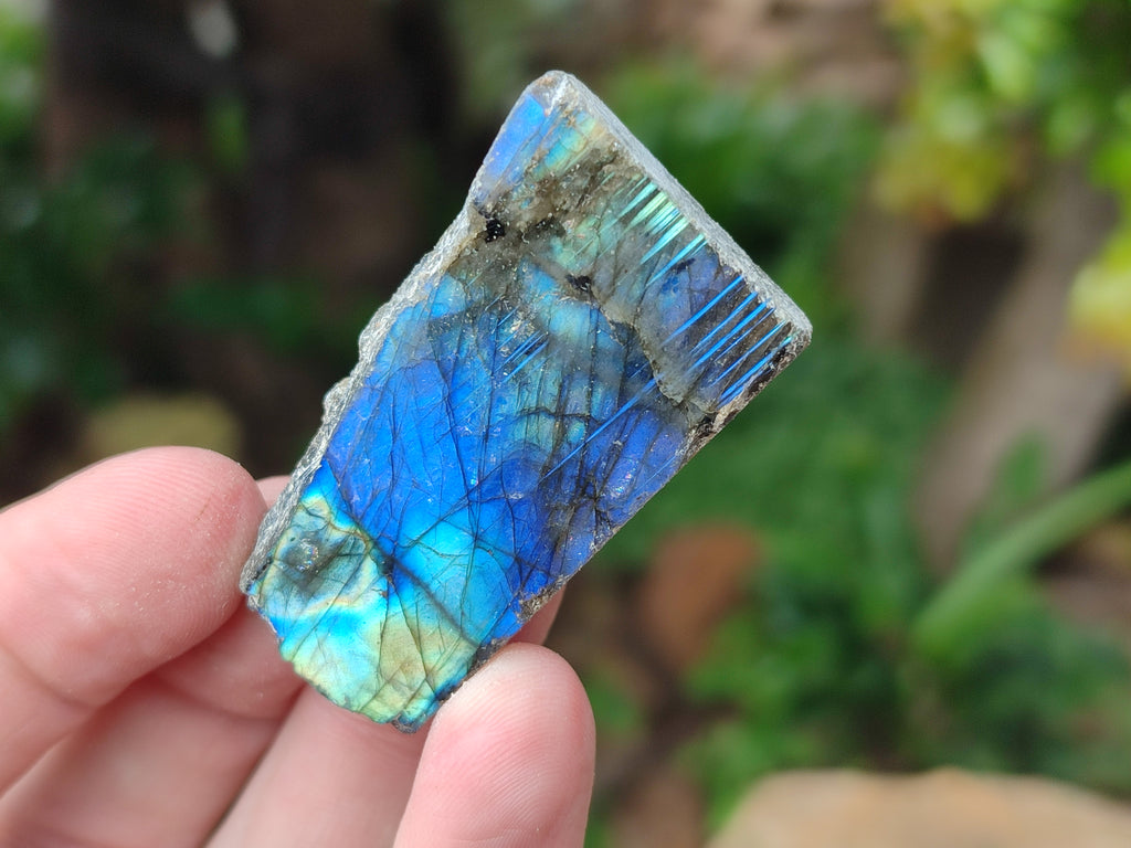 Polished on One Side Mini Labradorite Slabs x 35 From Tulear, Madagascar - Toprock Gemstones and Minerals 
