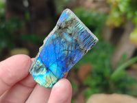 Polished on One Side Mini Labradorite Slabs x 35 From Tulear, Madagascar