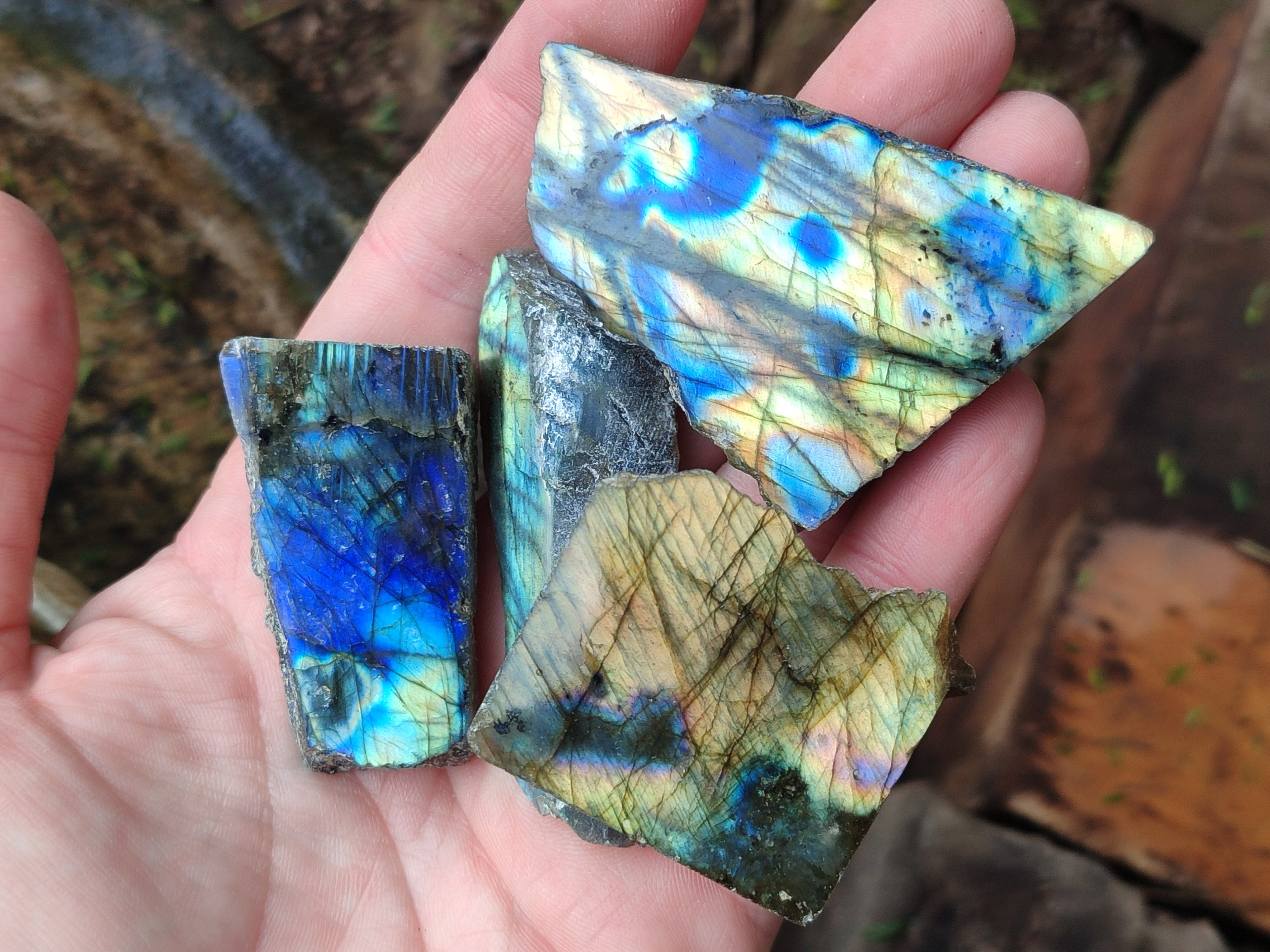 Polished on One Side Mini Labradorite Slabs x 35 From Tulear, Madagascar - Toprock Gemstones and Minerals 