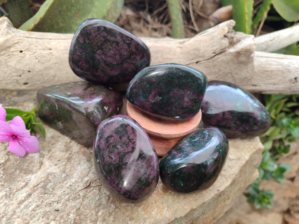 Polished Ruby Corundum In Chrome Verdite Free Forms x 6 From Zimbabwe - Toprock Gemstones and Minerals 