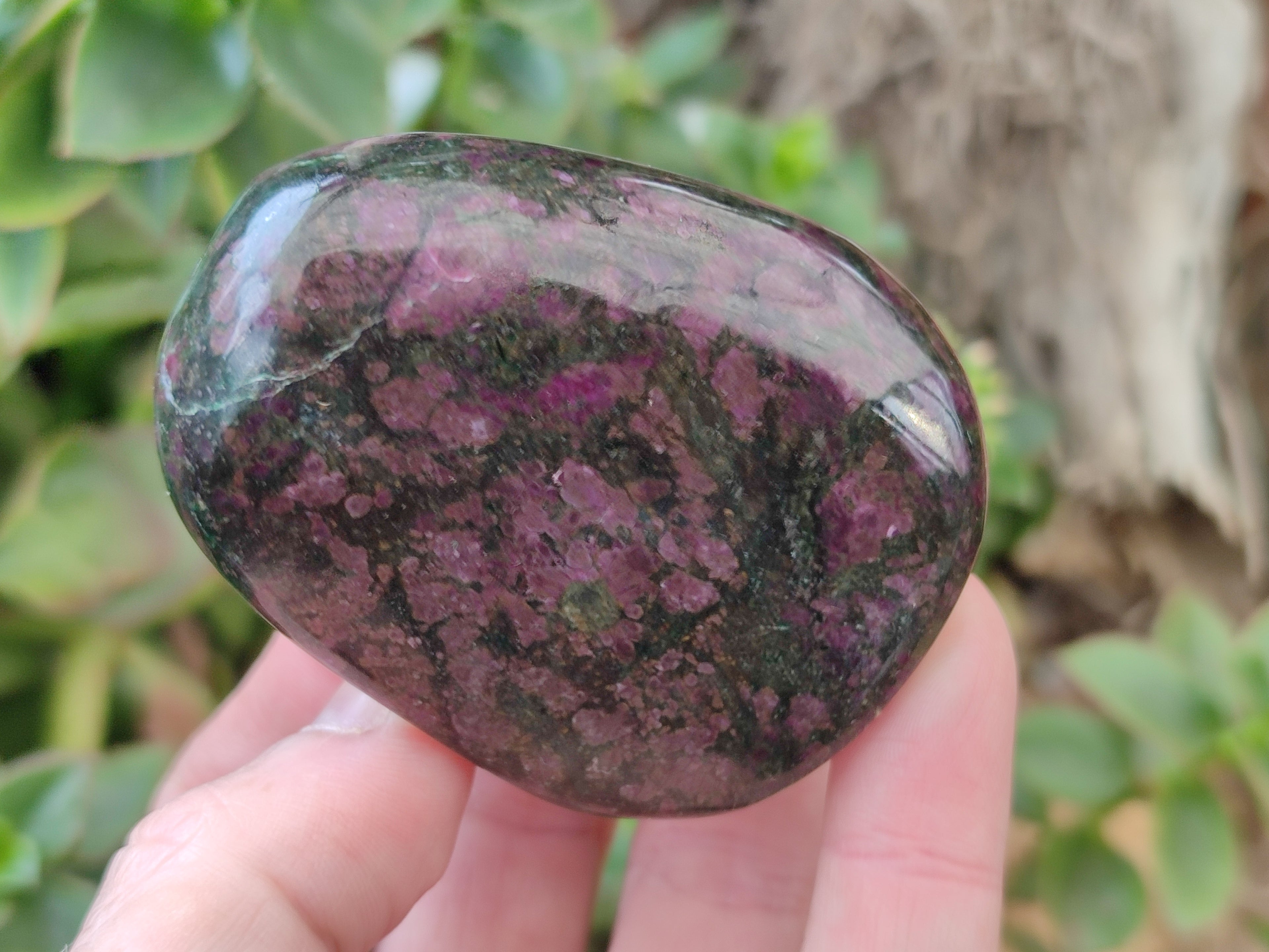 Polished Ruby Corundum In Chrome Verdite Free Forms x 6 From Zimbabwe - Toprock Gemstones and Minerals 