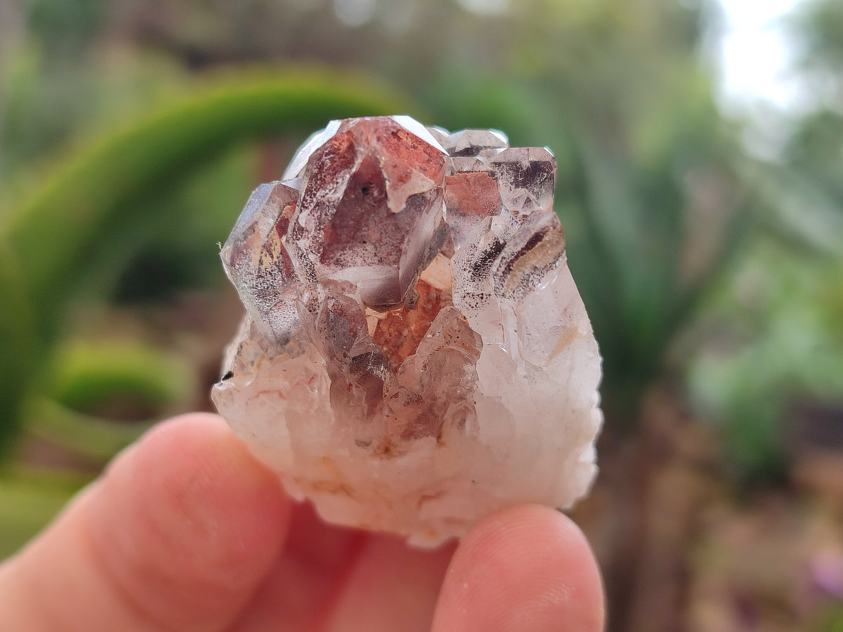 Natural Dark Purple Amethyst and Hematoid Single Quartz Crystals x 2.51 Kg Lot From Zambia - Toprock Gemstones and Minerals 