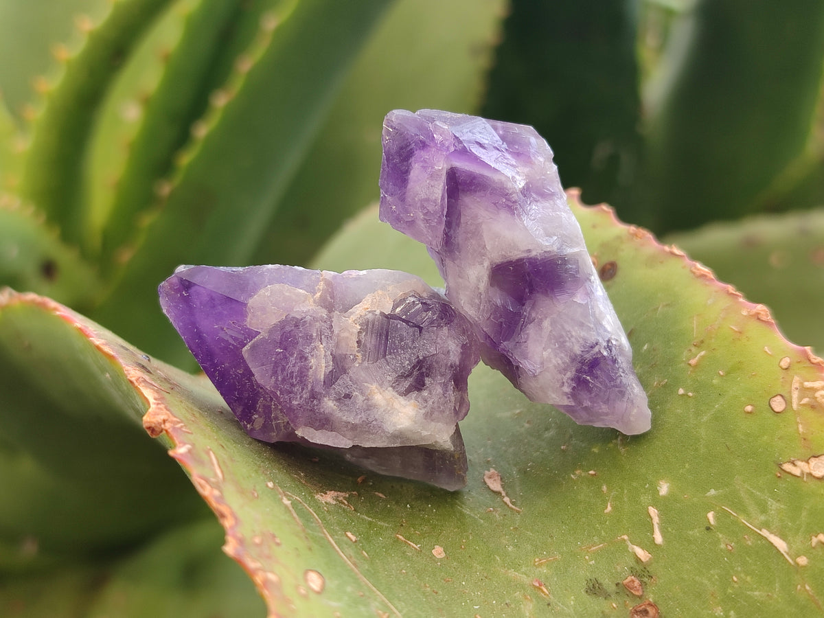 Natural Dark Purple Amethyst and Hematoid Single Quartz Crystals x 2.51 Kg Lot From Zambia - Toprock Gemstones and Minerals 