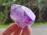 Polished Window Amethyst Quartz Point x 6 From Akansobe, Madagascar