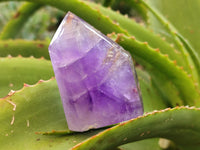 Polished Window Amethyst Quartz Point x 6 From Akansobe, Madagascar