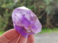 Polished Window Amethyst Quartz Point x 6 From Akansobe, Madagascar