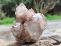 Natural White Cascading Phantom Quartz Clusters x 2 From Luena, Congo