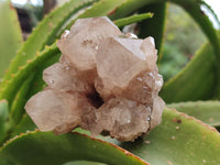 Natural White Cascading Phantom Quartz Clusters x 2 From Luena, Congo