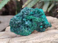 Natural Dioptase On Dolomite Specimens x 6 From Mashamba West Mine, Congo