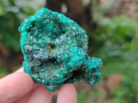 Natural Dioptase On Dolomite Specimens x 6 From Mashamba West Mine, Congo