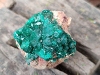 Natural Dioptase On Dolomite Specimens x 6 From Mashamba West Mine, Congo