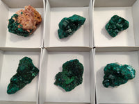 Natural Dioptase On Dolomite Specimens x 6 From Mashamba West Mine, Congo