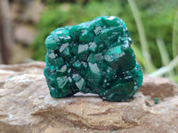 Natural Dioptase On Dolomite Specimens x 6 From Mashamba West Mine, Congo