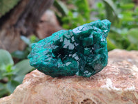 Natural Dioptase On Dolomite Specimens x 6 From Mashamba West Mine, Congo