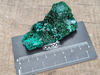 Natural Dioptase On Dolomite Specimens x 6 From Mashamba West Mine, Congo