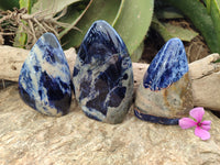 Polished Sodalite Standing Free Forms x 3 From Kunene River, Namibia