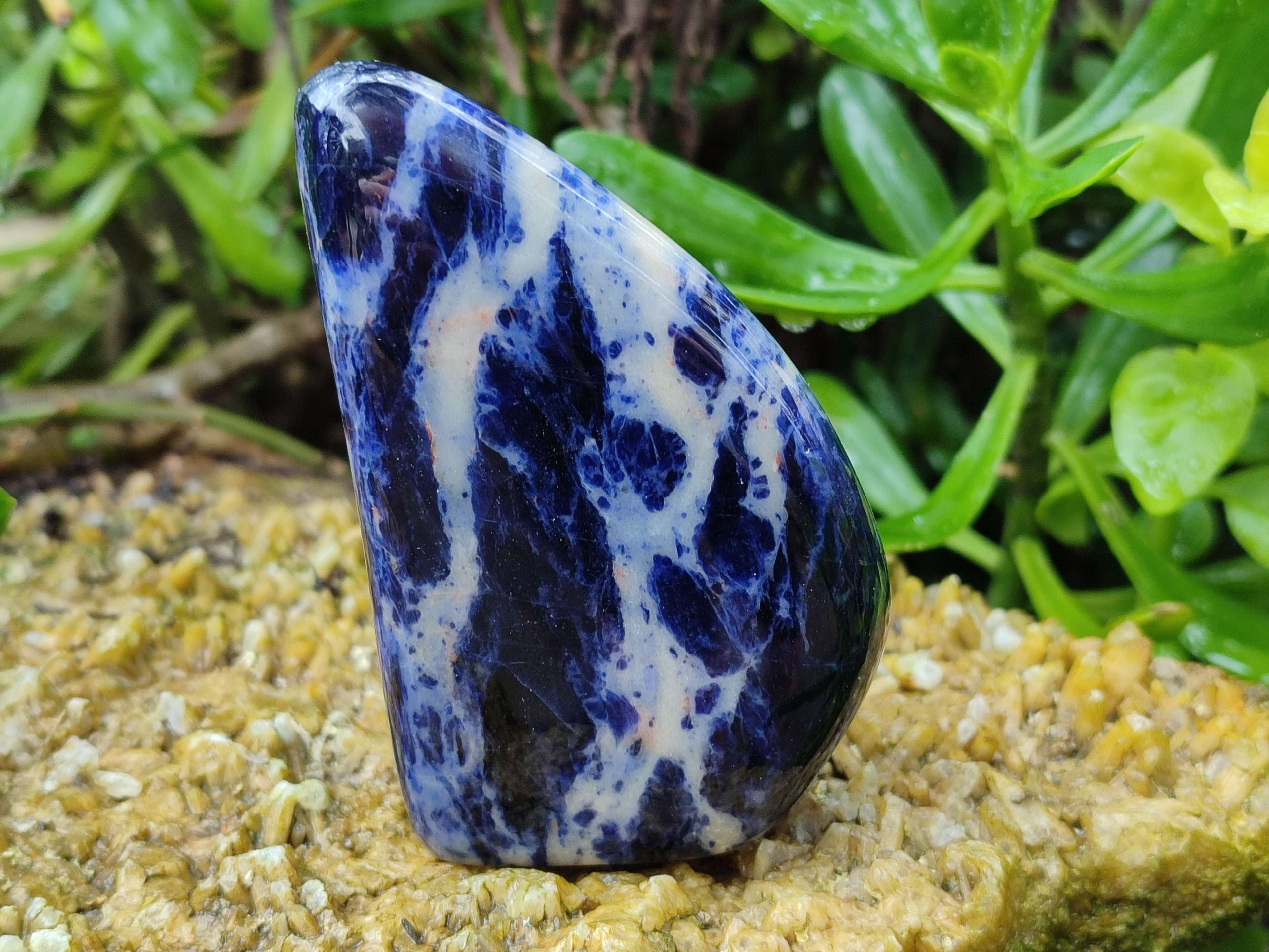 Polished Sodalite Standing Free Forms x 3 From Kunene River, Namibia - Toprock Gemstones and Minerals 