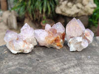 Natural Cactus Flower Sunburst Spirit Amethyst Clusters x 20 From Boekenhouthoek, South Africa
