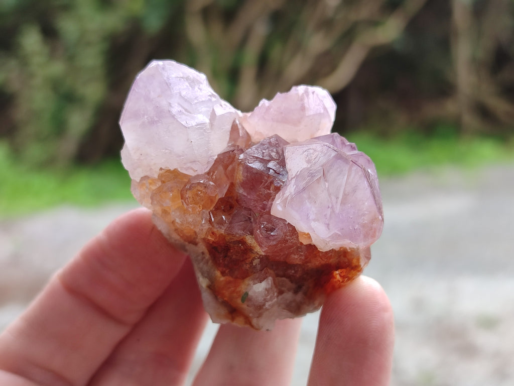 Natural Cactus Flower Sunburst Spirit Amethyst Clusters x 20 From Boekenhouthoek, South Africa - Toprock Gemstones and Minerals 