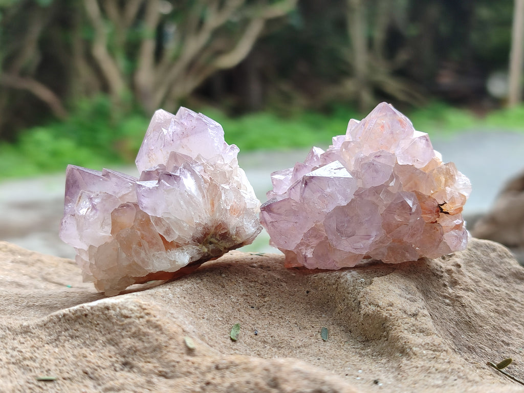 Natural Cactus Flower Sunburst Spirit Amethyst Clusters x 20 From Boekenhouthoek, South Africa - Toprock Gemstones and Minerals 