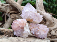 Natural Cactus Flower Sunburst Spirit Amethyst Clusters x 20 From Boekenhouthoek, South Africa