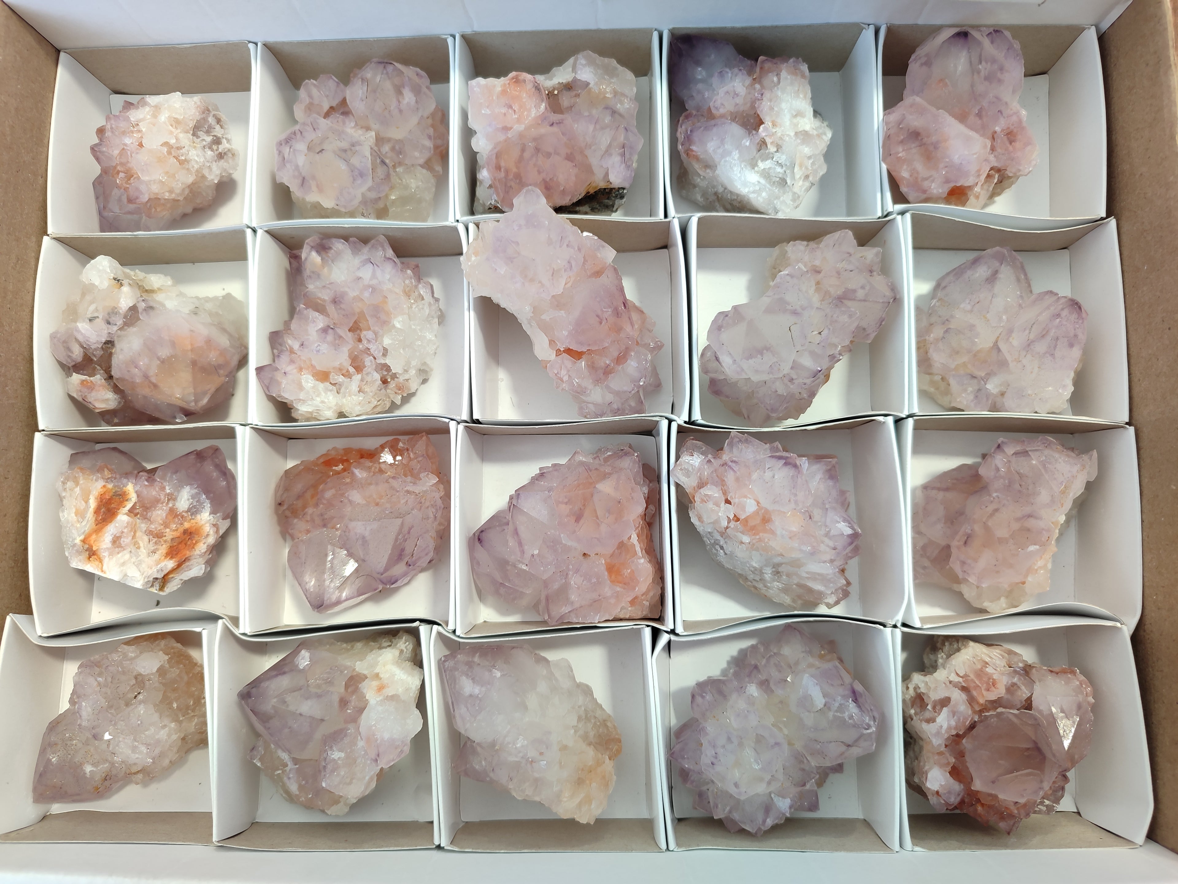 Natural Cactus Flower Sunburst Spirit Amethyst Clusters x 20 From Boekenhouthoek, South Africa - Toprock Gemstones and Minerals 