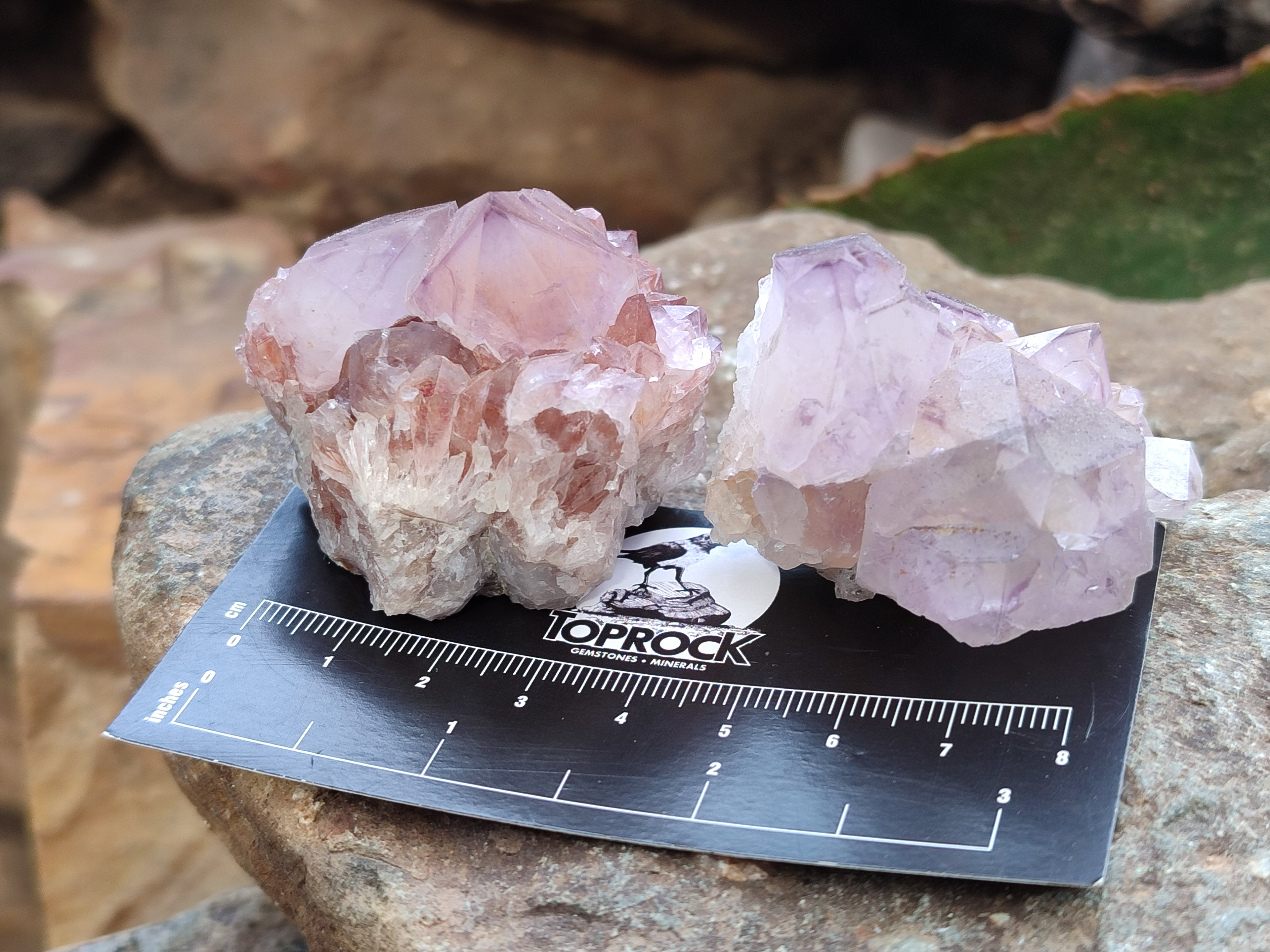 Natural Cactus Flower Sunburst Spirit Amethyst Clusters x 20 From Boekenhouthoek, South Africa - Toprock Gemstones and Minerals 